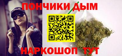 сатива Новодвинск