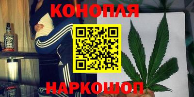 сатива Новодвинск